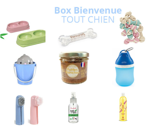 Box-chien-toutchattoutchientxtt