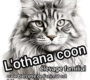 Lothanacoon94