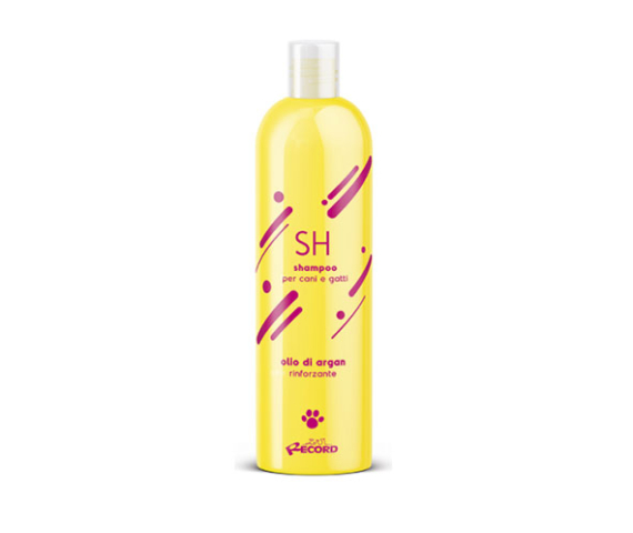 Shampooing-Hydratant-chien