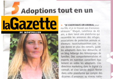 ACTU PRESSE : Tout Chat Tout Chien A LA UNE