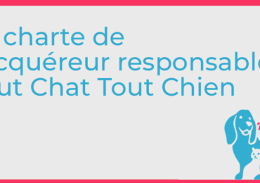 La Charte de l’acquéreur responsable Tout Chat Tout Chien