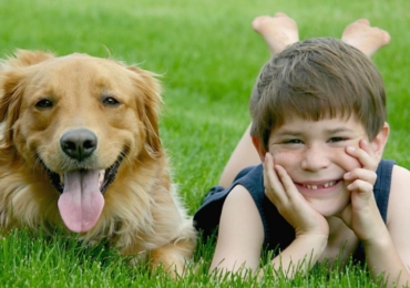 Comment convaincre ses parents d’avoir un chien ?